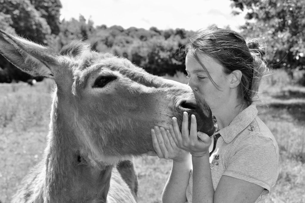 woman, donkey, equine, tenderness, affection, complicity, hug, tender, friendship, monochrome